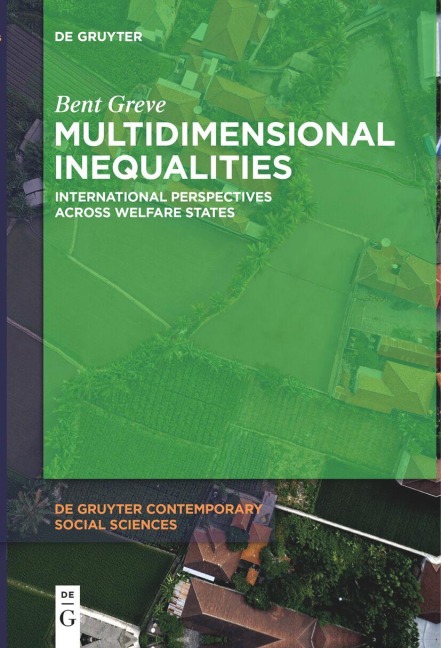 Multidimensional Inequalities: International Perspectives Across Welfare States