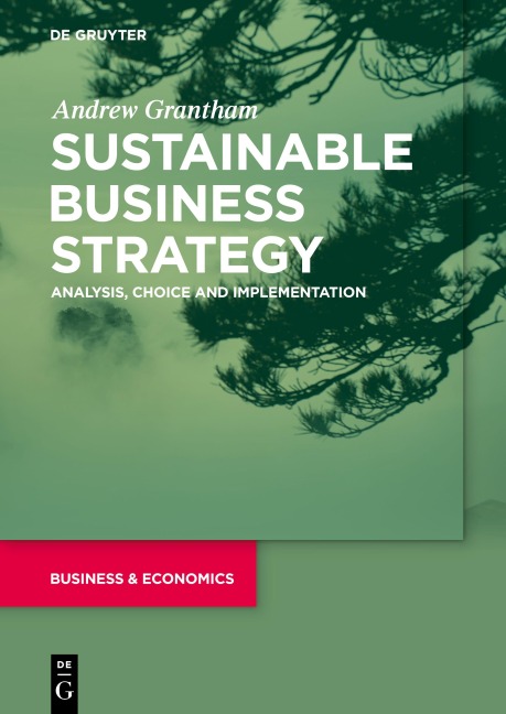Sustainable Business Strategy: Analysis, Choice and Implementation
