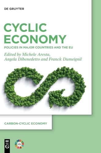 Cyclic Economy Policies in Major Countries and the EU