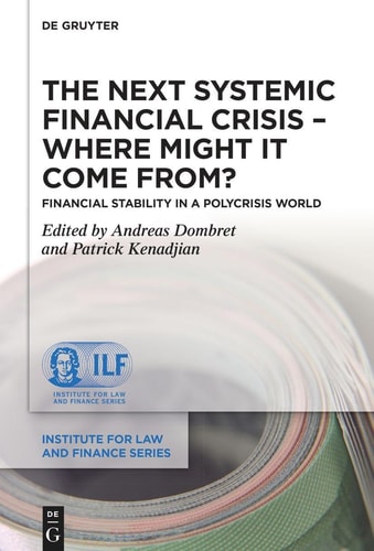 The Next Systemic Financial Crisis - where Might it Come From? Financial Stability in a Polycrisis World
