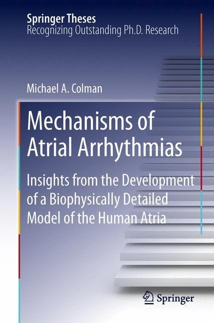 Mechanisms of Atrial Arrhythmias: Insights from the Development of a Biophysically Detailed Model of the Human Atria