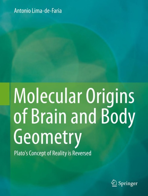Molecular Origins of Brain and Body Geometry: Platos Concept of Reality is Reversed