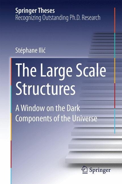 The Large Scale Structures: A Window on the Dark Components of the Universe