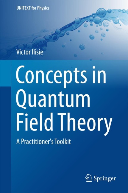 Concepts in Quantum Field Theory: A Practitioners Toolkit