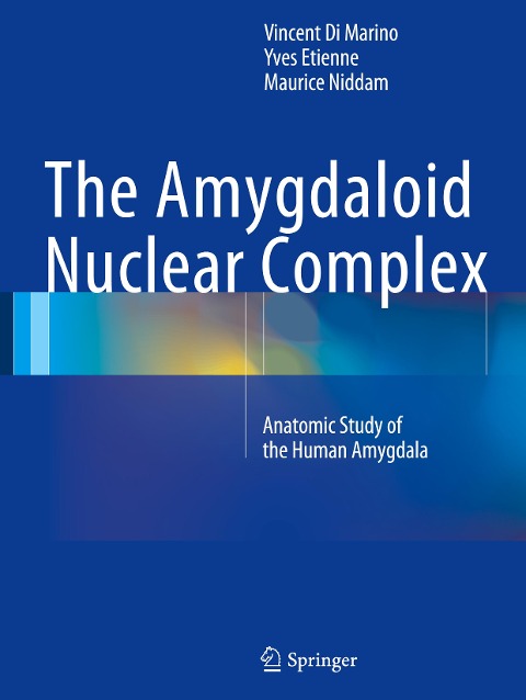 The Amygdaloid Nuclear Complex: Anatomic Study of the Human Amygdala