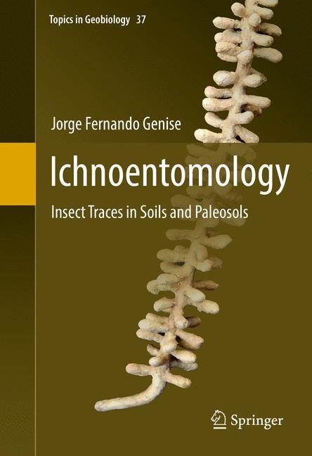 Ichnoentomology: Insect Traces in Soils and Paleosols