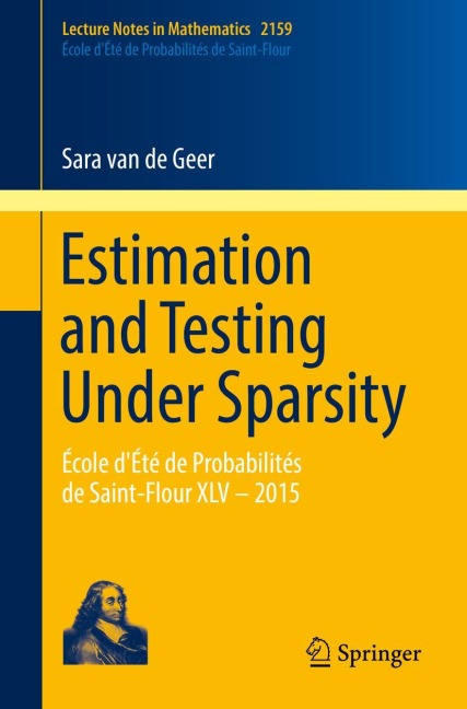 Estimation and Testing Under Sparsity: École dÉté de Probabilités de Saint-Flour XLV - 2015