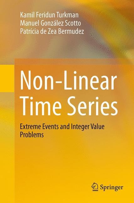 Non-Linear Time Series: Extreme Events and Integer Value Problems