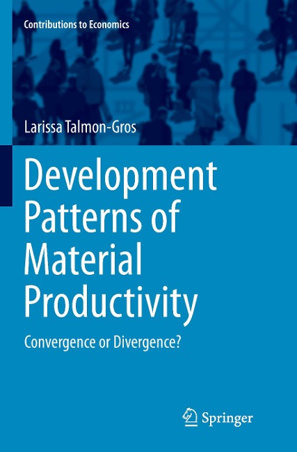 Development Patterns of Material Productivity: Convergence or Divergence?