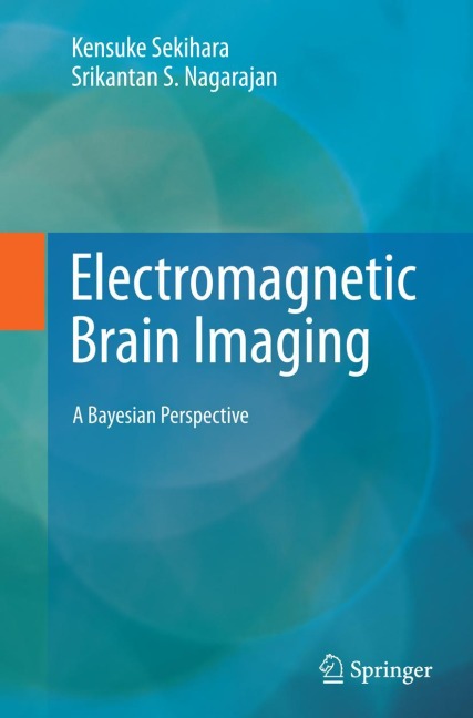Electromagnetic Brain Imaging: A Bayesian Perspective