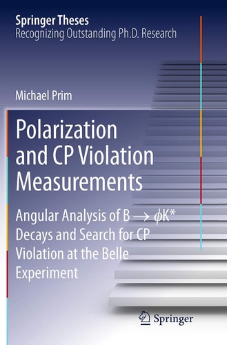 Polarization and CP Violation Measurements Angular Analysis of B -> ?K* Decays and Search for CP Violation at the Belle Experiment