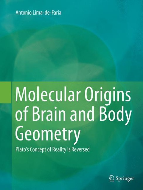 Molecular Origins of Brain and Body Geometry: Platos Concept of Reality is Reversed