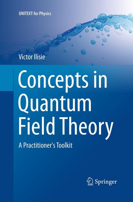 Concepts in Quantum Field Theory: A Practitioners Toolkit