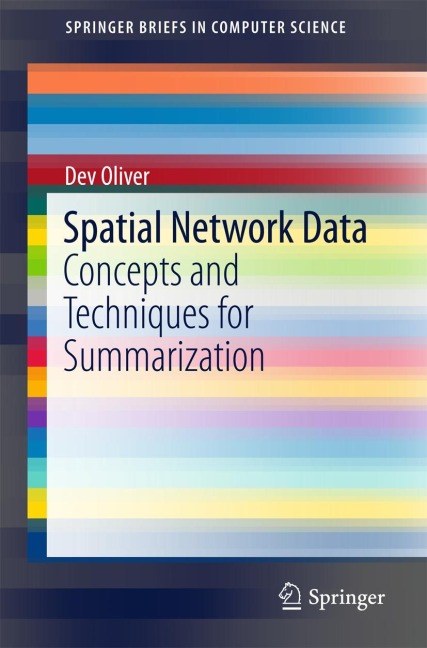 Spatial Network Data: Concepts and Techniques for Summarization