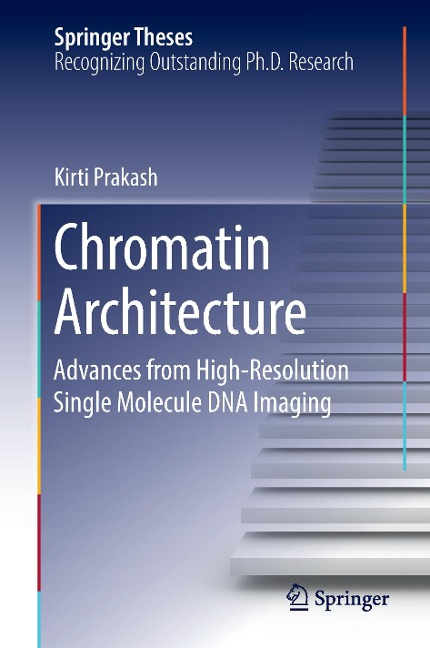 Chromatin Architecture: Advances From High-resolution Single Molecule DNA Imaging