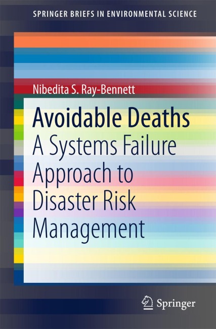 Avoidable Deaths: A Systems Failure Approach to Disaster Risk Management