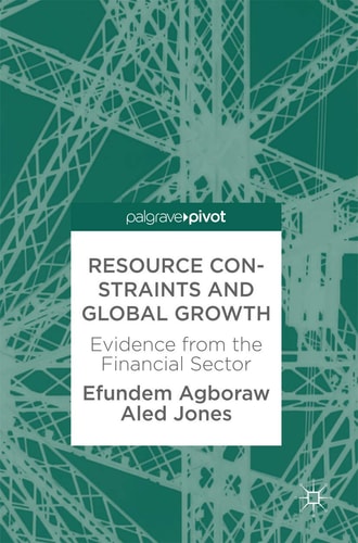 Resource Constraints and Global Growth Evidence from the Financial Sector