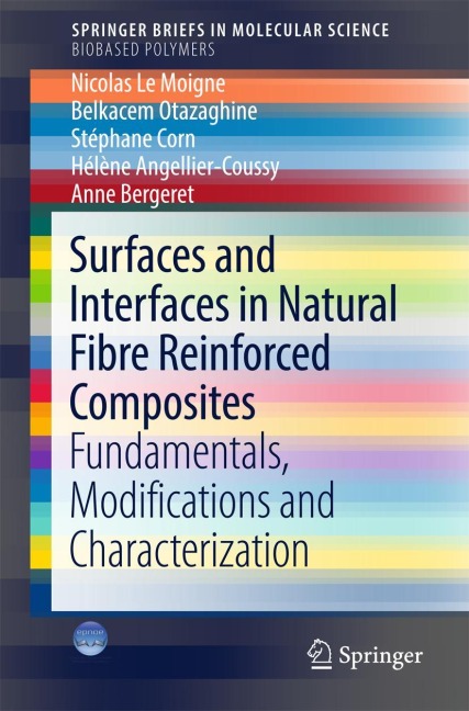 Surfaces and Interfaces in Natural Fibre Reinforced Composites: Fundamentals, Modifications and Characterization