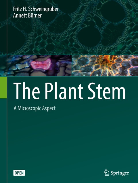 The Plant Stem: A Microscopic Aspect