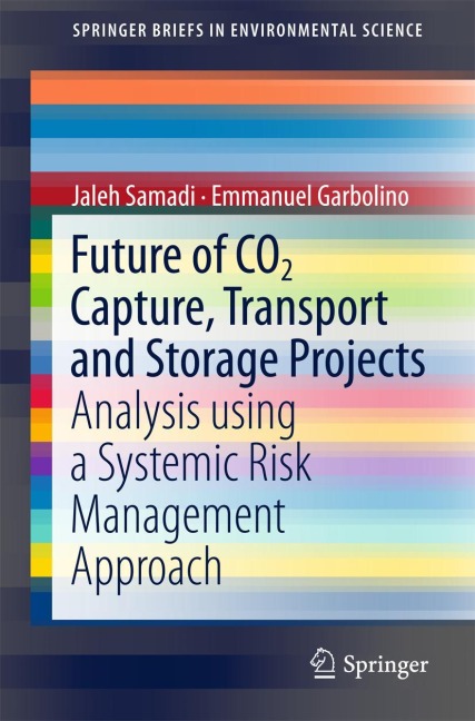 Future of CO2 Capture, Transport and Storage Projects: Analysis using a Systemic Risk Management Approach
