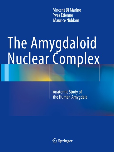 The Amygdaloid Nuclear Complex: Anatomic Study of the Human Amygdala