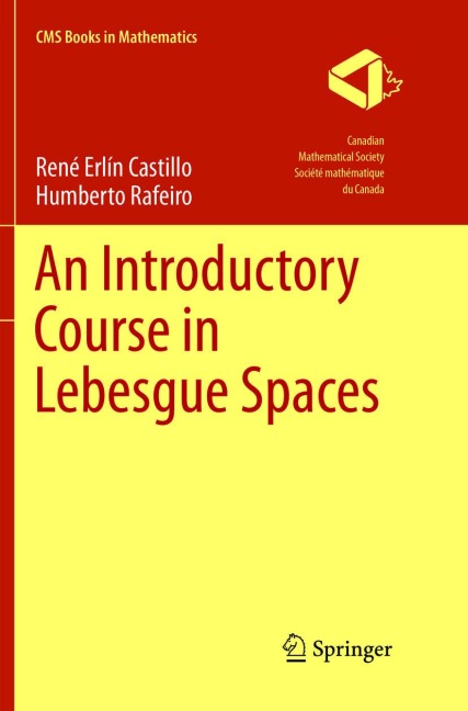 An Introductory Course in Lebesgue Spaces