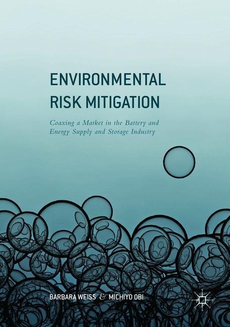 Environmental Risk Mitigation: Coaxing a Market in the Battery and Energy Supply and Storage Industry