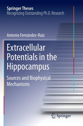 Extracellular Potentials in the Hippocampus Sources and Biophysical Mechanisms