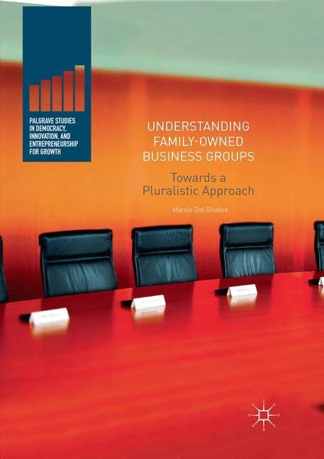 Understanding Family-Owned Business Groups: Towards a Pluralistic Approach