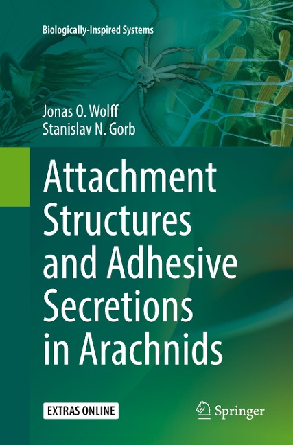 Attachment Structures and Adhesive Secretions in Arachnids