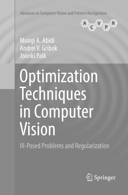 Optimization Techniques in Computer Vision: Ill-Posed Problems and Regularization
