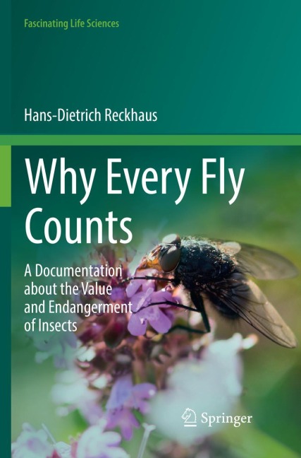 Why Every Fly Counts: A Documentation about the Value and Endangerment of Insects