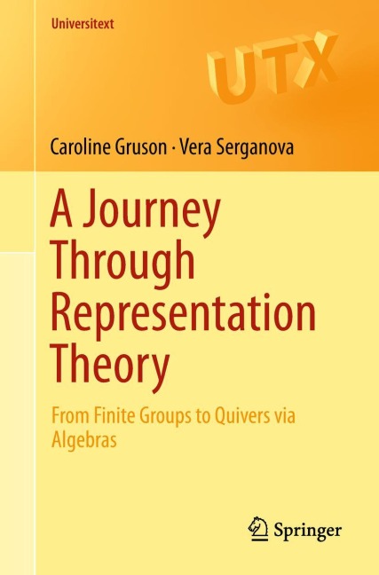A Journey Through Representation Theory: From Finite Groups to Quivers via Algebras