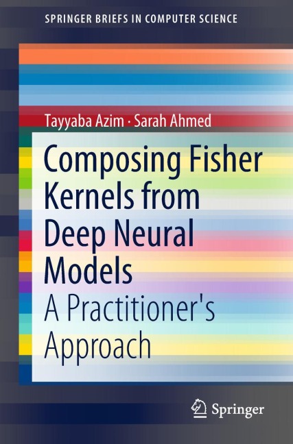 Composing Fisher Kernels from Deep Neural Models: A Practitioners Approach