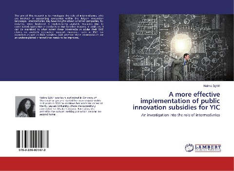 A more effective implementation of public innovation subsidies for YIC: An investigation into the role of intermediaries