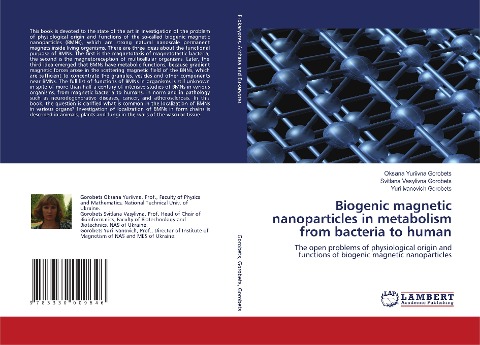 Biogenic magnetic nanoparticles in metabolism from bacteria to human: The open problems of physiological origin and functions of biogenic magnetic nanoparticles