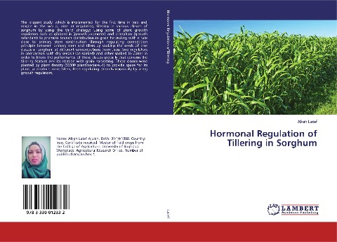 Hormonal Regulation of Tillering in Sorghum