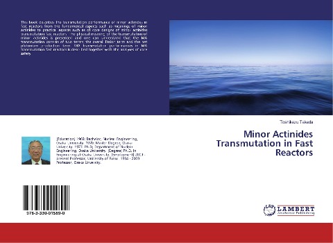 Minor Actinides Transmutation in Fast Reactors