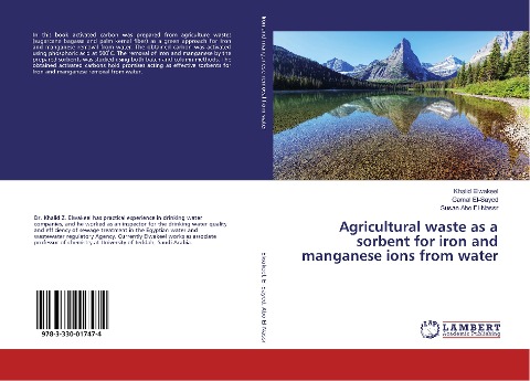 Agricultural waste as a sorbent for iron and manganese ions from water