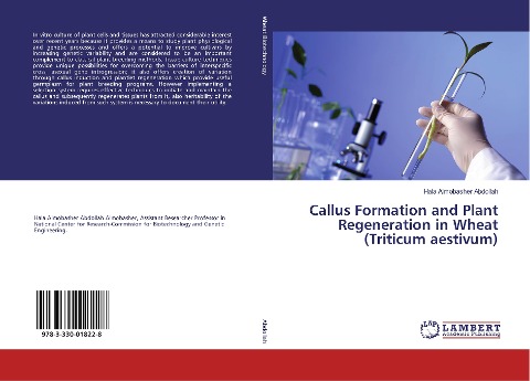 Callus Formation and Plant Regeneration in Wheat (Triticum aestivum)