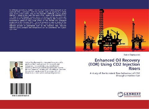 Enhanced Oil Recovery (EOR) Using CO2 Injection Risers: A study of the transient flow behaviour of CO2 through a marine riser