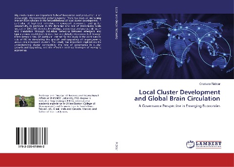 Local Cluster Development and Global Brain Circulation: A Governance Perspective in Emerging Economies