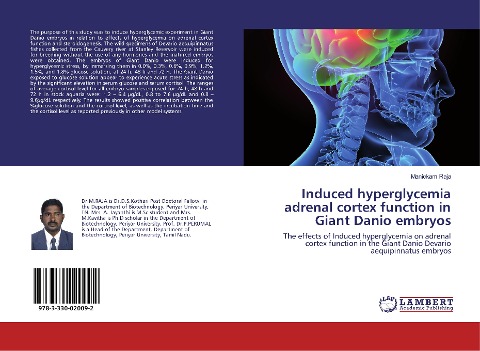 Induced hyperglycemia adrenal cortex function in Giant Danio embryos: The effects of Induced hyperglycemia on adrenal cortex function in the Giant Danio Devario aequipinnatus embryos