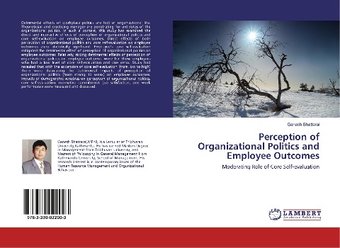 Perception of Organizational Politics and Employee Outcomes: Moderating Role of Core Self-evaluation