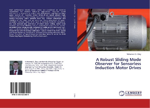 A Robust Sliding Mode Observer for Sensorless Induction Motor Drives