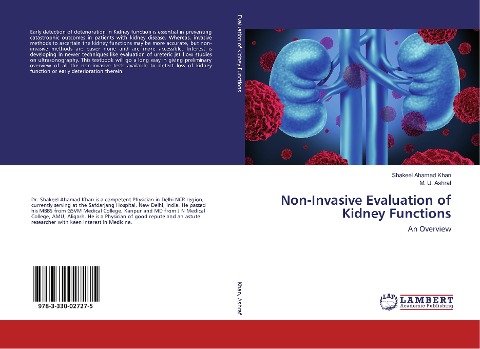Non-Invasive Evaluation of Kidney Functions: An Overview