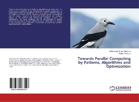 Towards Parallel Computing by Patterns, Algorithms and Optimization