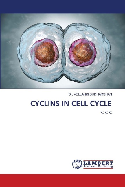 CYCLINS IN CELL CYCLE: C-C-C