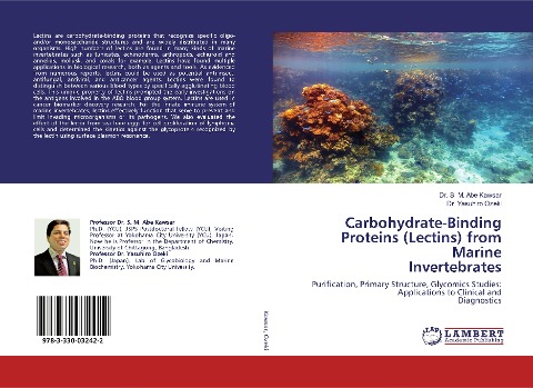 Carbohydrate-Binding Proteins (Lectins) from Marine Invertebrates: Purification, Primary Structure, Glycomics Studies: Applications to Clinical andDiagnostics