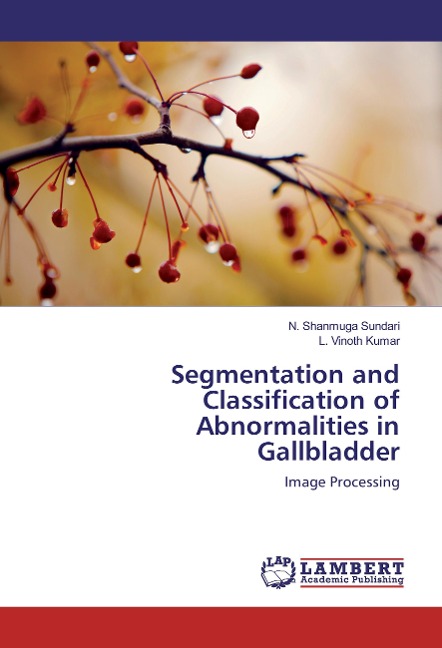 Segmentation and Classification of Abnormalities in Gallbladder: Image Processing